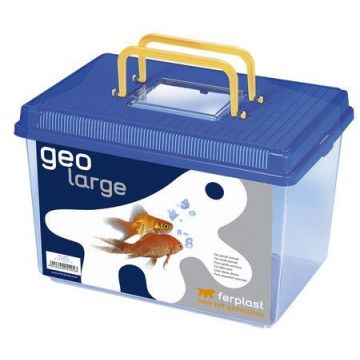 טרריום גאו גדול