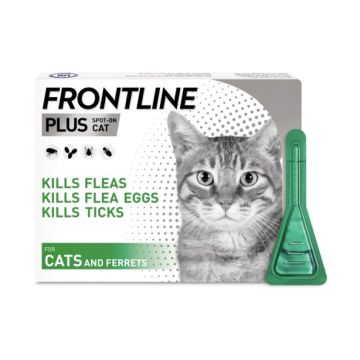 Frontline Plus פרונטליין פלוס לחתול