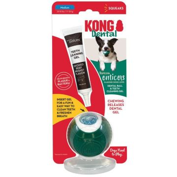 Tropiclean Enticers טרופיקלין אנטיקייר ג'ל שיניים בטעם בקר + KONG קונג כדור בינוני