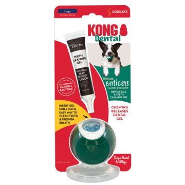 Tropiclean Enticers טרופיקלין אנטיקייר ג'ל שיניים בטעם בקר + KONG קונג כדור גדול