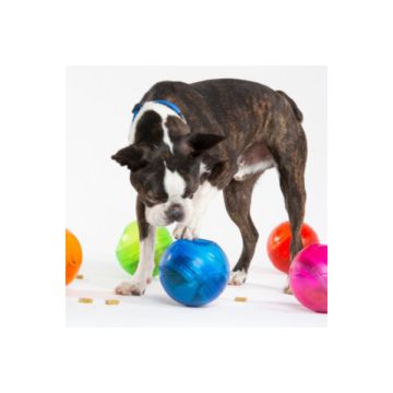 Rogz רוגז צעצוע לכלב כדור חטיפים (טומבלר)