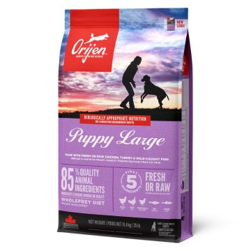 Orijen אוריג'ן 11.4 ק"ג מזון יבש לכלבים גורים מגזע ענק (פאפי לארג' בריד)