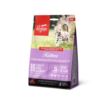 Orijen אוריג'ן 1.8 ק"ג מזון יבש ללא דגנים לחתולים גורים (קיטן)