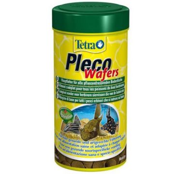 Siso סיסו 250 מ"ל מזון דגי קרקעית בטבליות