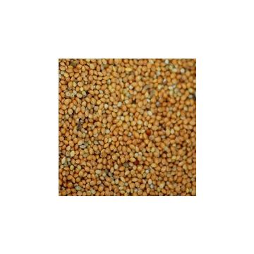 Ribos ריבוס 25 ק"ג תערובת מזון לתוכונים ופינקים בתפזורת