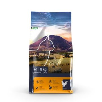 Leader’s Choice לידר צ'ויס 8 ק"ג מזון יבש לחתולים בוגרים בטעם עוף