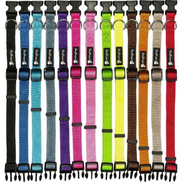 Pets Project פטס פרוג'קט קולר בייסיק S