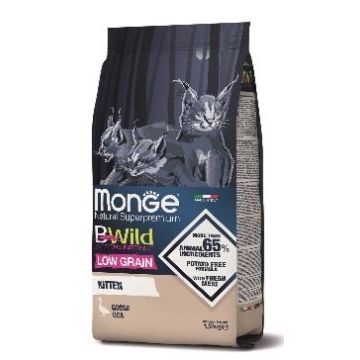MONGE מונג 1.5 ק"ג מזון יבש לחתולים גורים בטעם אווז (ביווילד קיטן)