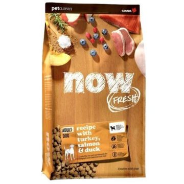 Now נאו 10 ק"ג מזון יבש ללא דגנים לכלבים בוגרים
