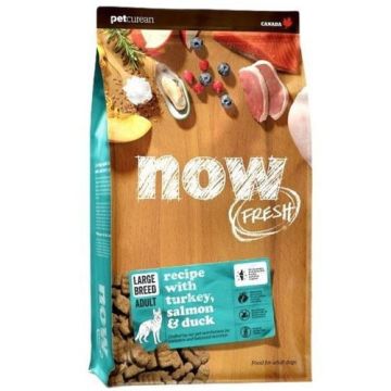 Now נאו 11.4 ק"ג מזון יבש ללא דגנים לכלבים בוגרים מגזע גדול