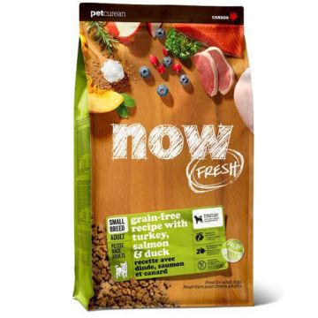 Now נאו 10 ק"ג מזון יבש ללא דגנים לכלבים בוגרים מגזע קטן