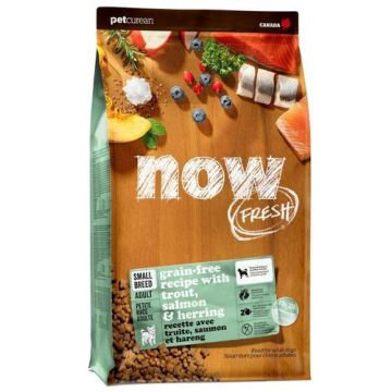 Now נאו 10 ק"ג מזון יבש ללא דגנים לכלבים בוגרים מגזע קטן בטעם דגים