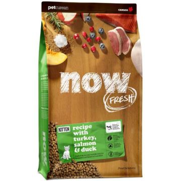 Now נאו 3.7 ק"ג מזון יבש ללא דגנים לחתולים גורים (קיטן)