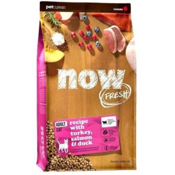 Now נאו 7.3 ק"ג מזון יבש ללא דגנים לחתולים בוגרים