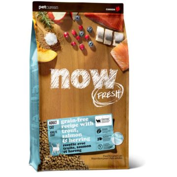 Now נאו 3.63 ק"ג מזון יבש ללא דגנים לחתולים בוגרים בטעם דגים