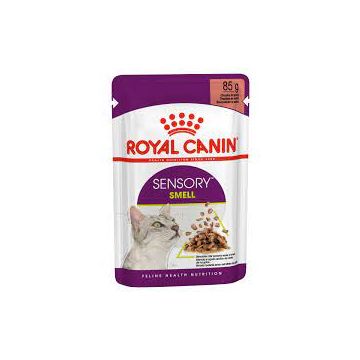 Royal canin רויאל קנין 85 גרם מזון מזון רטוב (פאוץ') לחתולים בוגרים (סנסורי סמל)