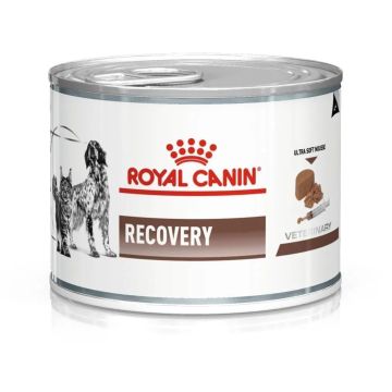 Royal Canin רויאל קנין 195 גרם מזון רפואי מזון רטוב (שימורים) לכלבים בוגרים לשיקום תזונתי בשלבי החלמה ממחלה (ריקברי)