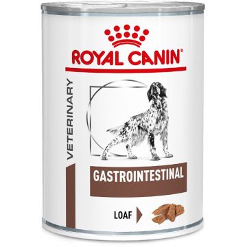 Royal Canin רויאל קנין 400 גרם מזון רפואי מזון רטוב (שימורים) לכלבים בוגרים עם בעיות מעיים ועיכול (גסטרו אינטסטינל)
