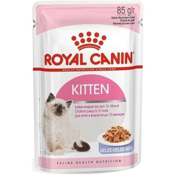 Royal Canin רויאל קנין 85 גרם מזון מזון רטוב (פאוץ') לגורי חתולים בג'לי (קיטן)