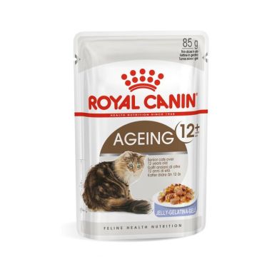 Royal canin רויאל קנין 85 גרם מזון מזון רטוב (פאוץ') לחתולים מבוגרים בג'לי (אג'ינג)