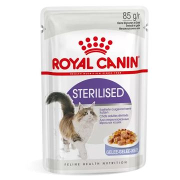Royal canin רויאל קנין 85 גרם מזון מזון רטוב (פאוץ') לחתולים בוגרים מסורסים (סטרילייזד ג'לי)